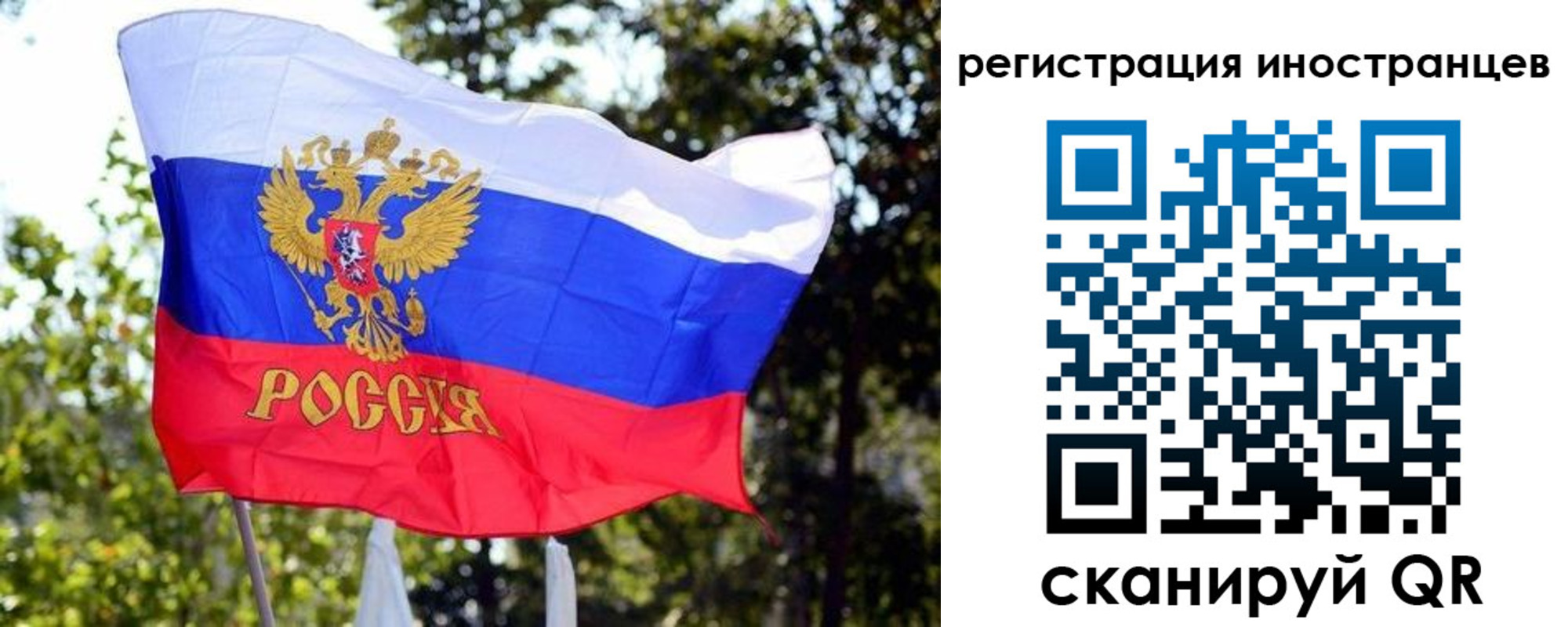 временная регистрация недорого в Елизово